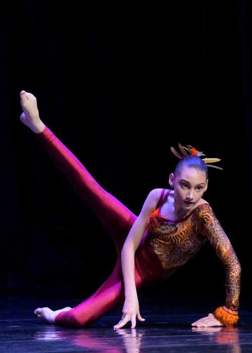 DSC_8671 (003)